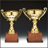 우승트로피
